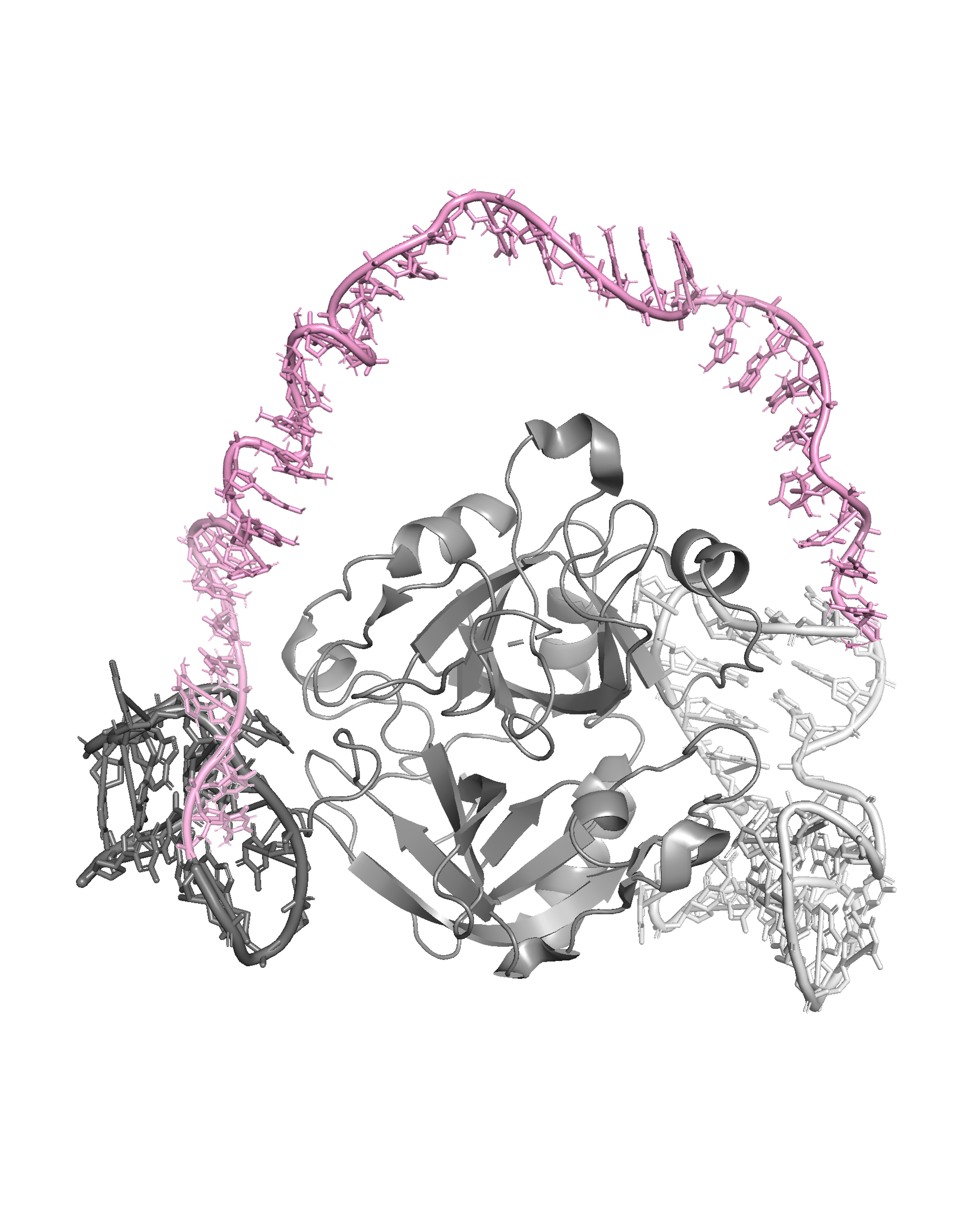 DNA switch illustration